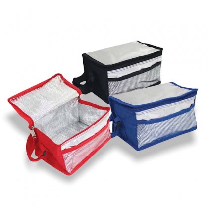 Travelling Cooler Bag